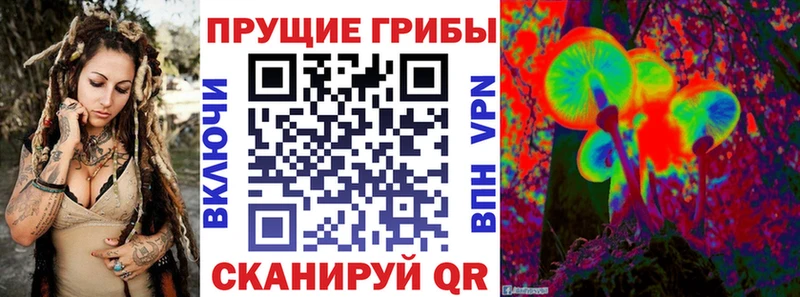 Псилоцибиновые грибы Psilocybe  Меленки 
